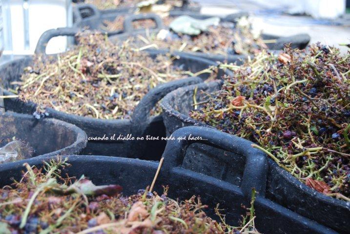 dsc_0106-fileminimizer