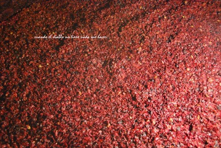 dsc_0112-fileminimizer