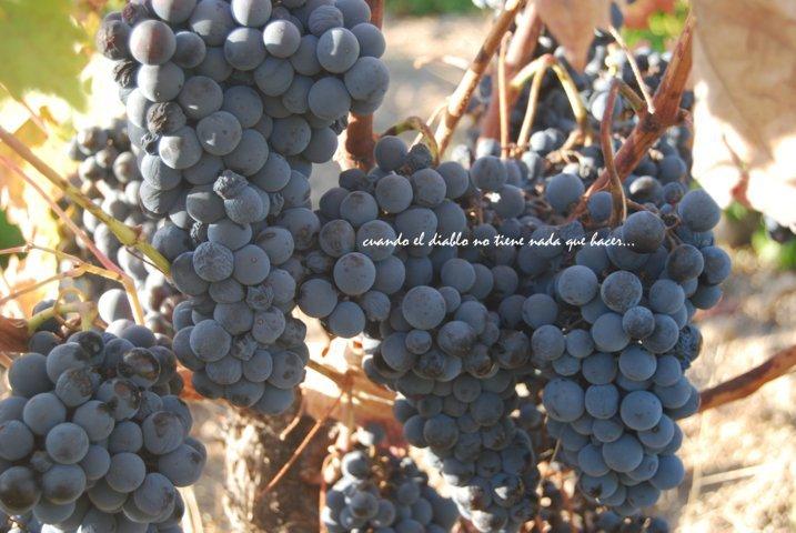 dsc_0056-fileminimizer