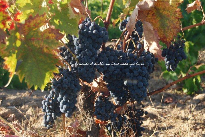 dsc_0055-fileminimizer