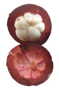 pastila para adelgazar Garcinia Cambogia