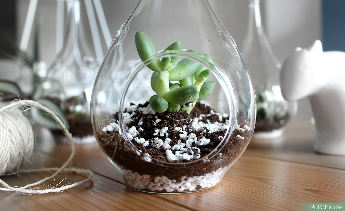 mini-jardines-verticales-rutchicote