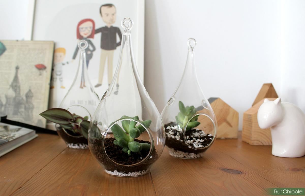 mini-jardines-de-cristal