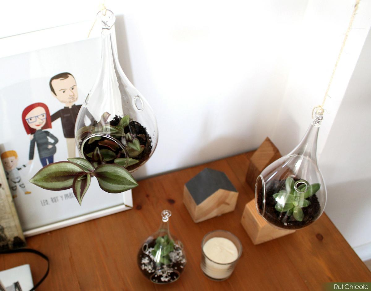 mini-jardines-verticales-de-cristal1