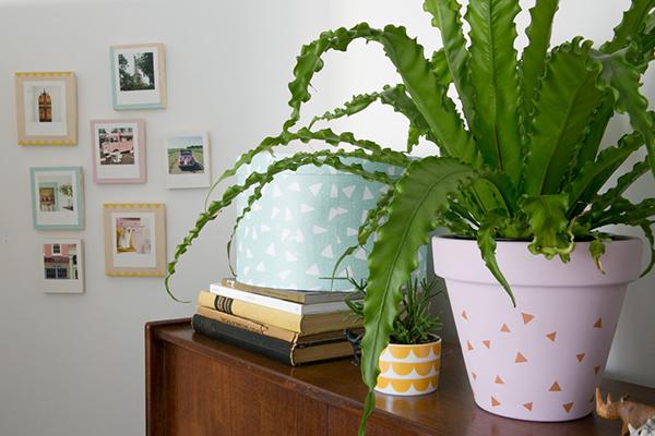 diy-project-chalk-paint