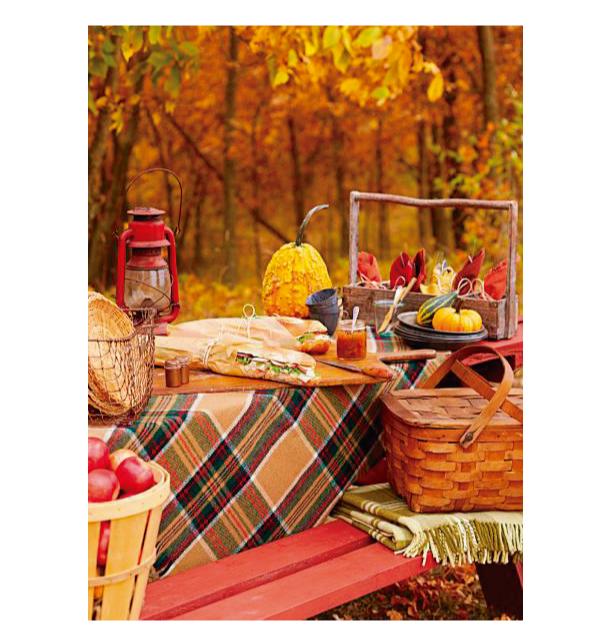 picnic_otono_diariodeco25_blog_ana_pla_interiorismo_decoracion_9