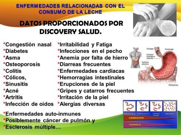 Enfermedades causadas por la leche