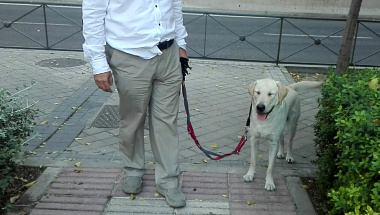 Paseo con correa