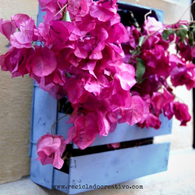 Cajas de fresas de madera recicladas y convertidas en estantes decorativos