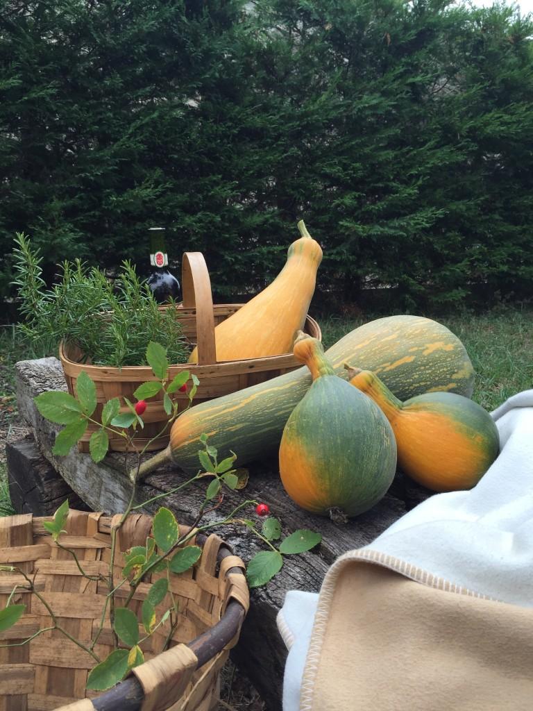 calabazas nordic treats