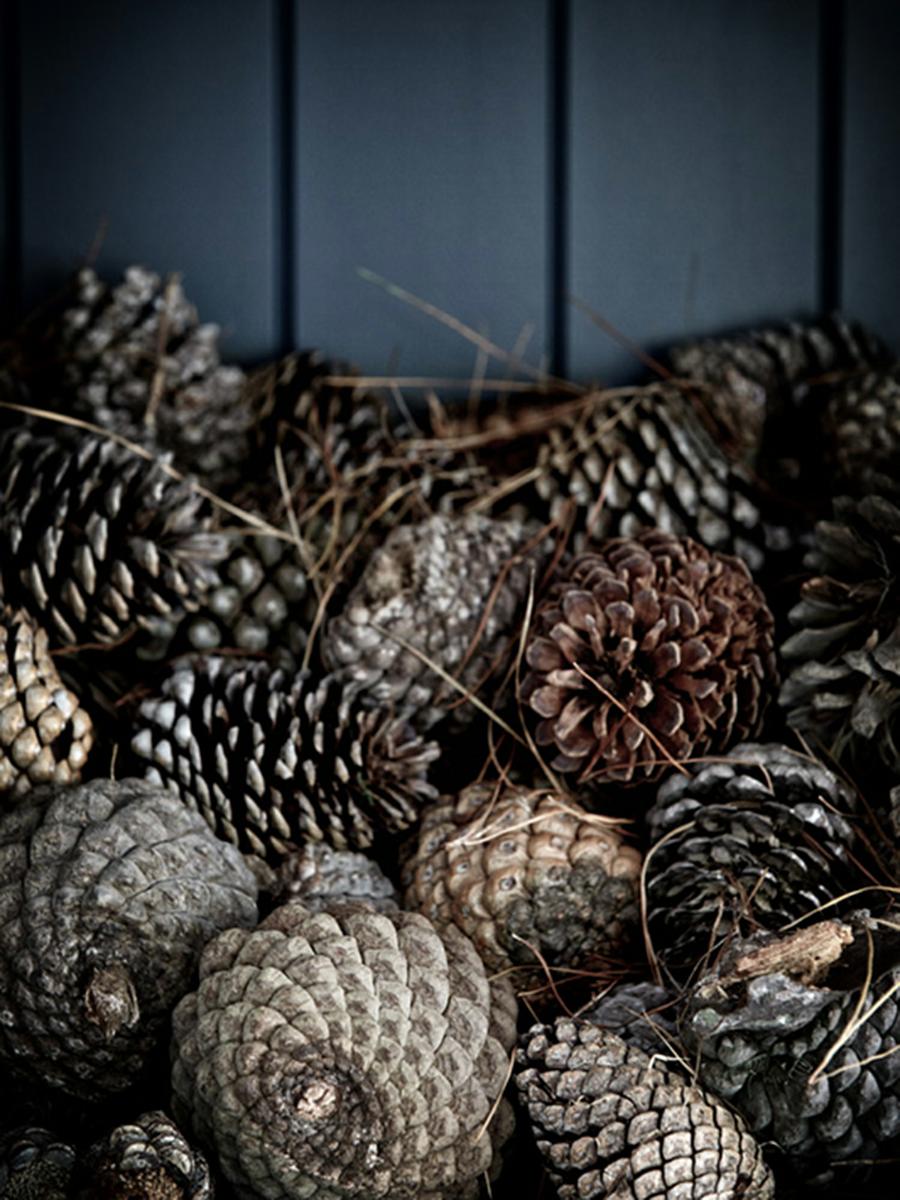 Nord House | Est Living