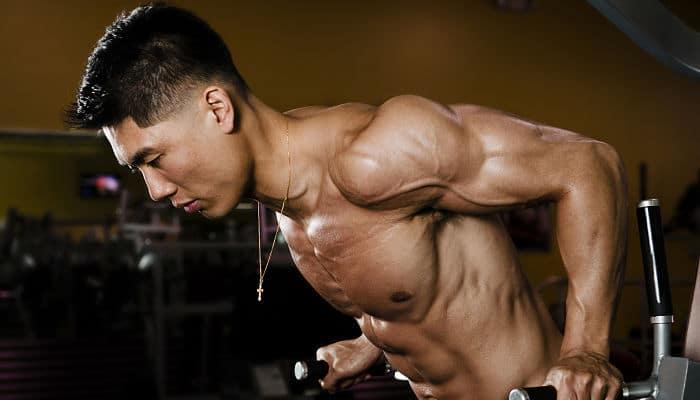 Sobre entrenamiento y la ganancia muscular 