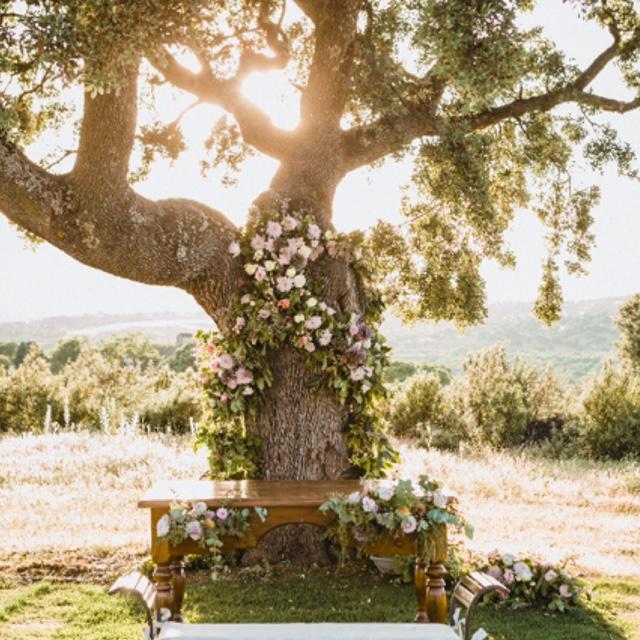 boda, bodas civiles, bodas al aire libre, boda civil, decoración boda civil, ceremonia civil al aire libre