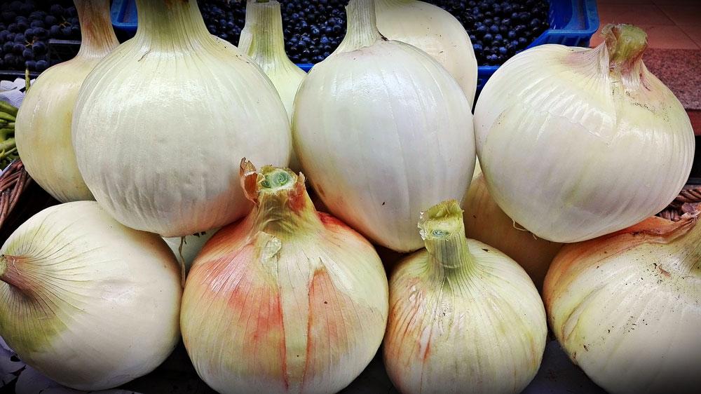 recetas-basicas-faciles