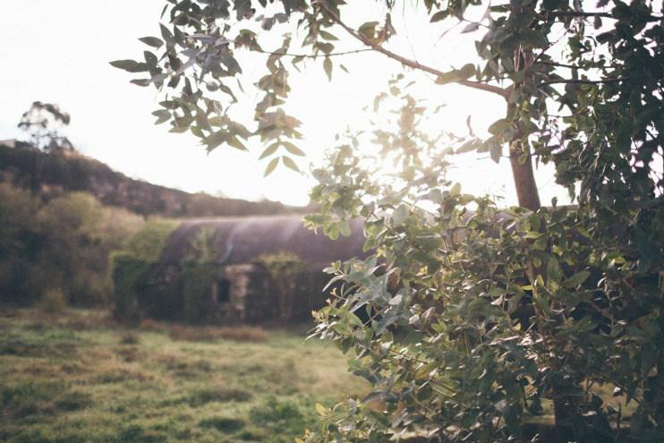 Elopement con aires decadentes