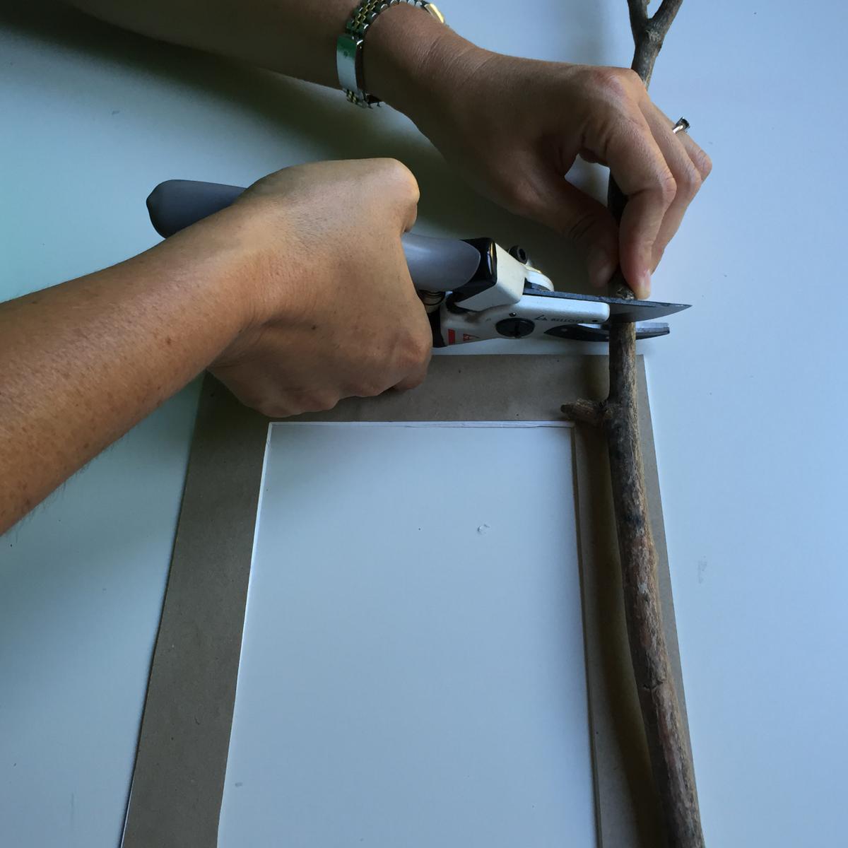 cortamos los palos con la tijera de poda