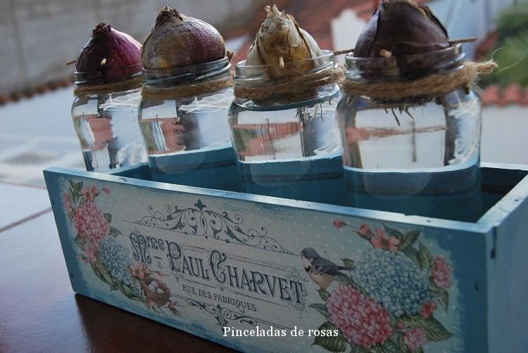 narcisos-bulbos-caja-decoupage-15