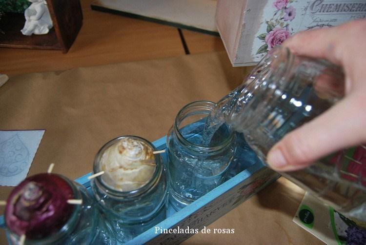 narcisos-bulbos-caja-decoupage-6