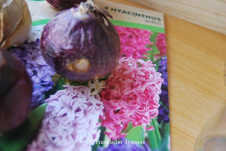 narcisos-bulbos-caja-decoupage-2