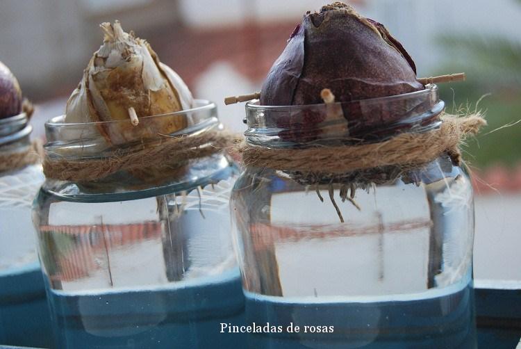 narcisos-bulbos-caja-decoupage-13