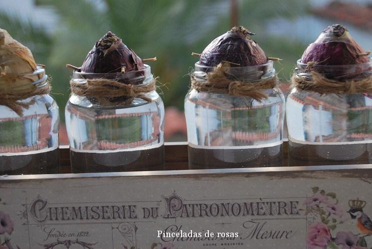 narcisos-bulbos-caja-decoupage-17