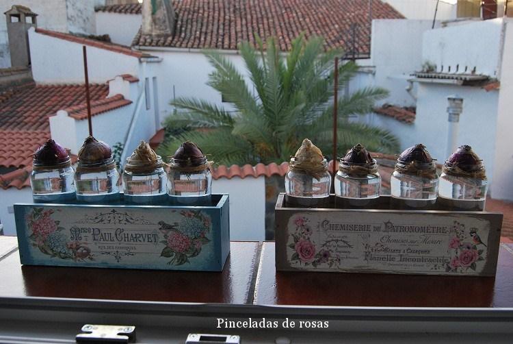 narcisos-bulbos-caja-decoupage-18