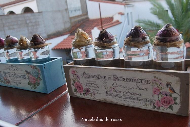 narcisos-bulbos-caja-decoupage-19