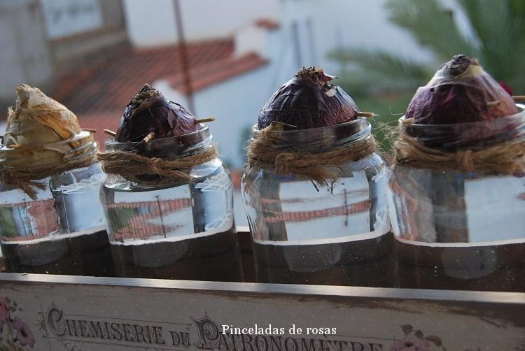 narcisos-bulbos-caja-decoupage-20