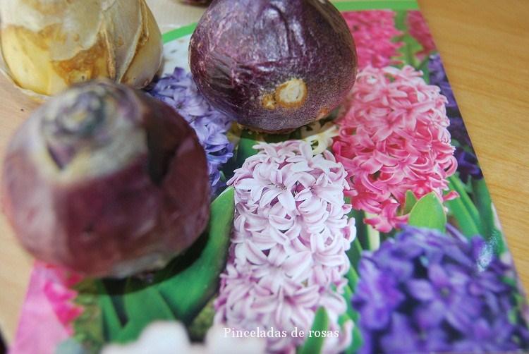 narcisos-bulbos-caja-decoupage-3