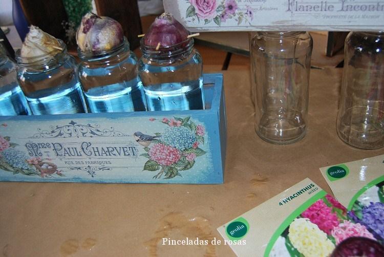 narcisos-bulbos-caja-decoupage-7