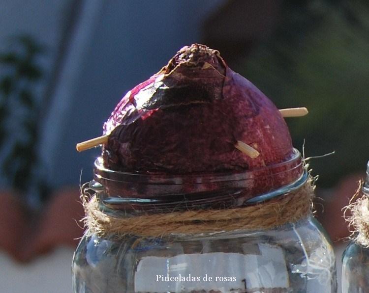 ????????????????????????????????????