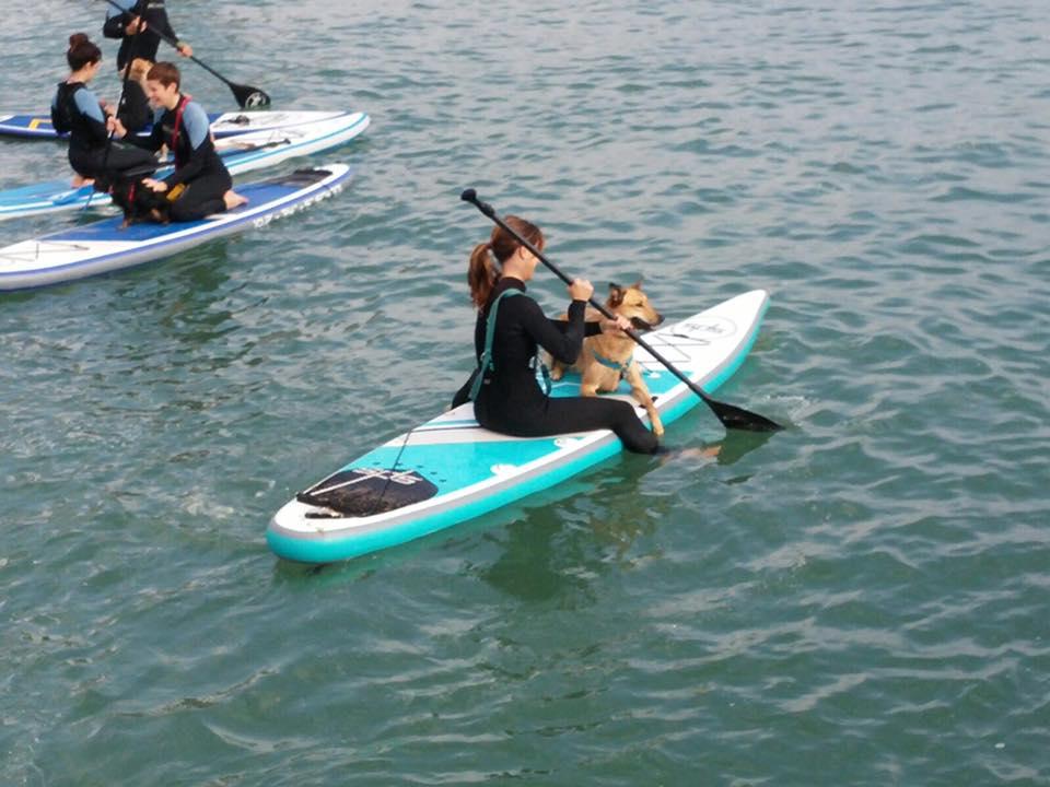 paddle-surf-barcelona