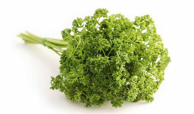 3 remedios caseros para un cabello perfecto