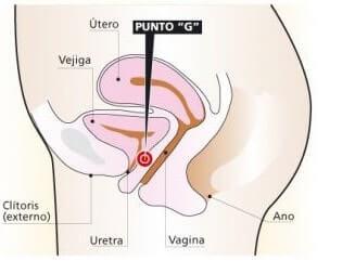 como encontrar el punto g