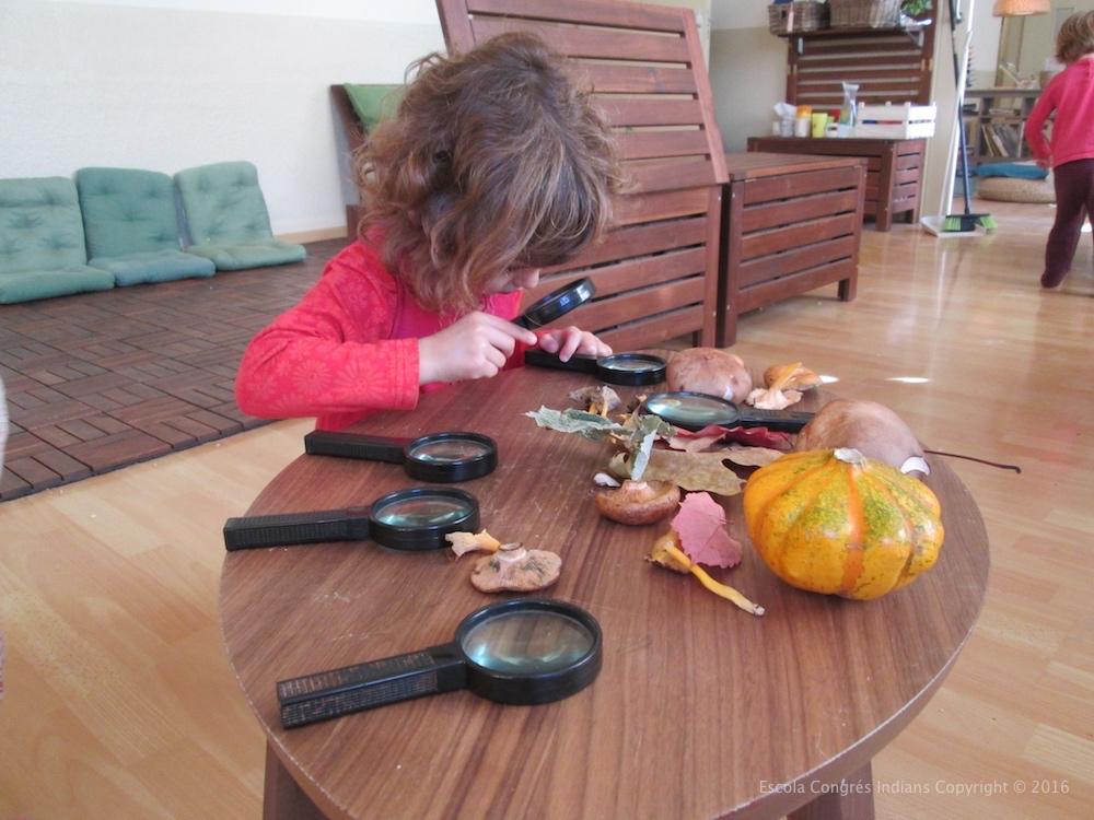 Escola_Congres_Indians