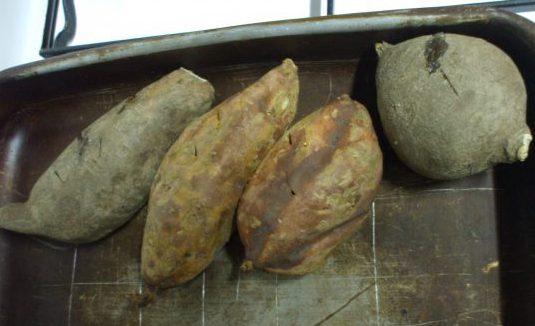 panallets-saludables-4