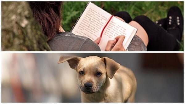 que es la inspiracion