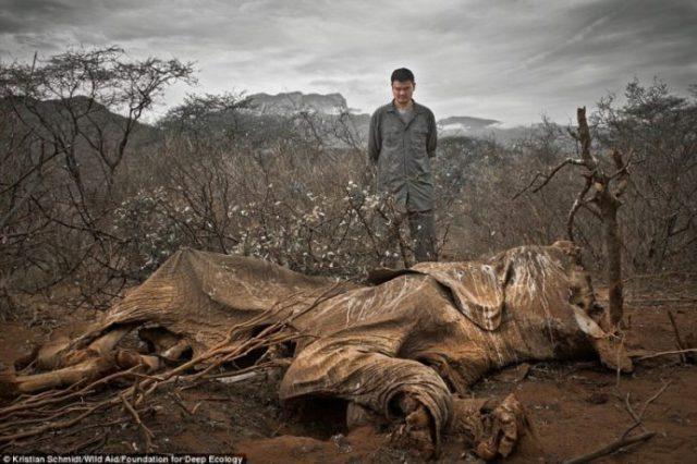matanza-de-animales-blog-el-barrio-verde-tenerife