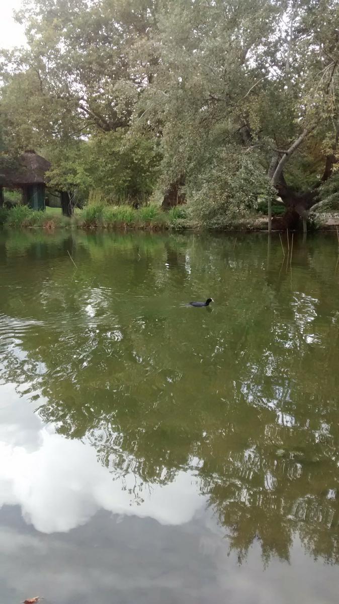 img_20160926_162554005-1