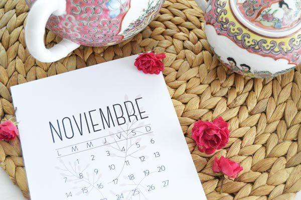 allyoursites-descargable-noviembre-2