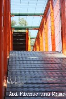 rampas-toboganes-laberinto