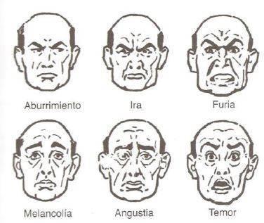 diferentes-expresiones-faciales-2