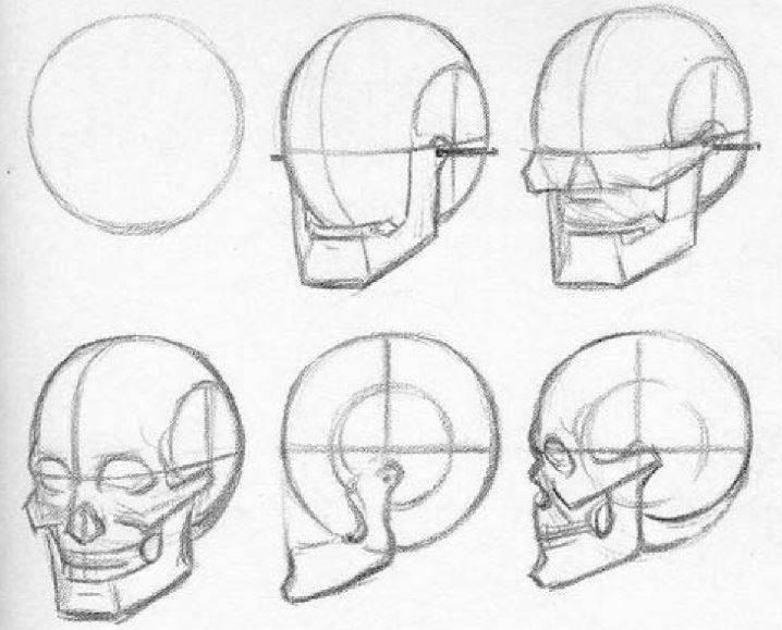 piensa-en-la-estructura-osea