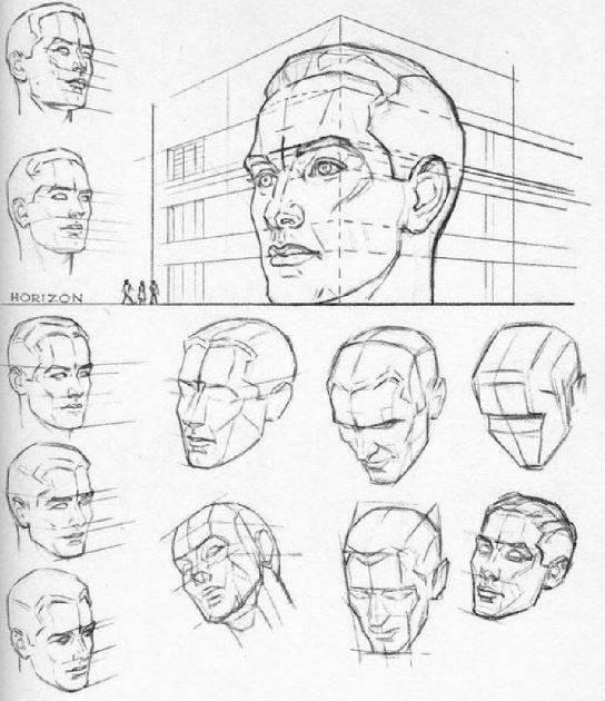 perspectiva-de-la-cabeza