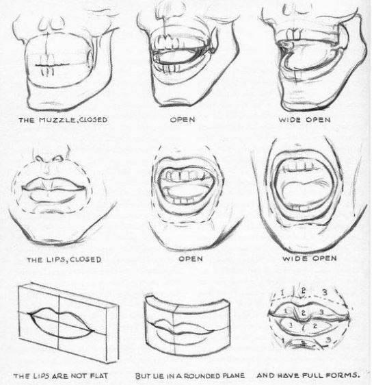 tecnica-para-dibujar-labios