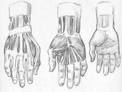 aprendiendo-a-dibujar-la-mano-con-anatomia