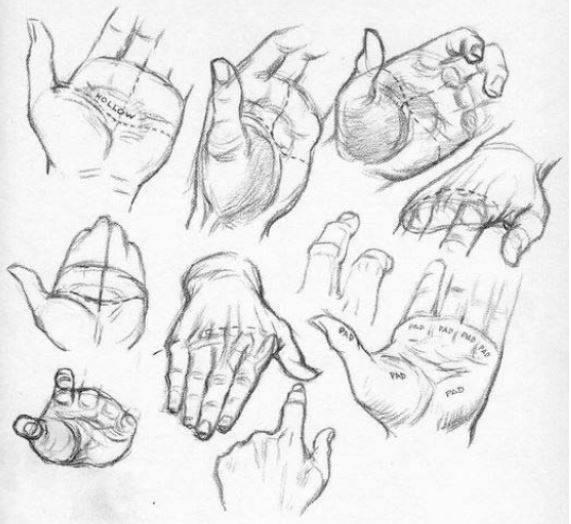 dibujar-el-agujero-de-la-palma