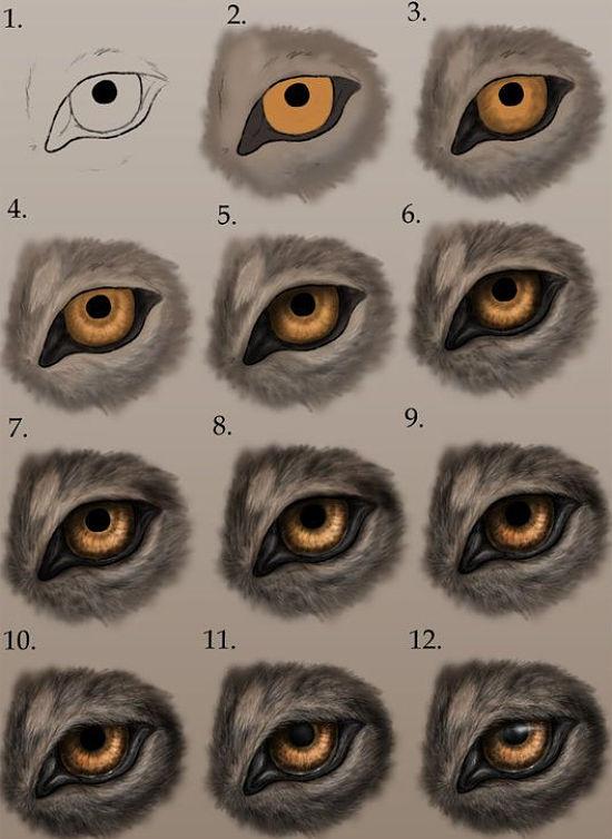 dibujar-ojos-de-lobo