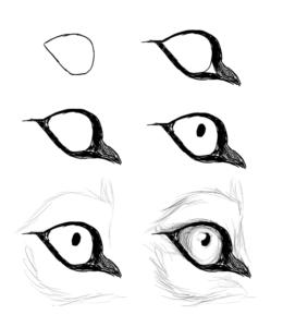 dibujar ojos de lobo