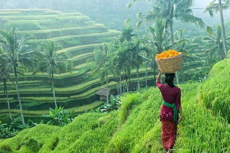 Una luna de miel diferente